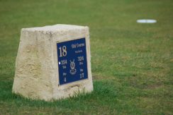 DSC_0153 (2)